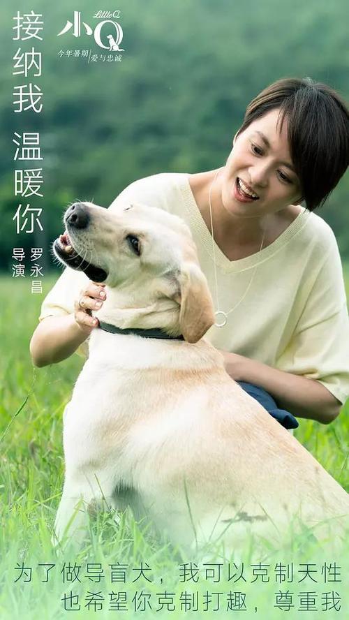 鲍林格林州立大学MarketingDegreeCertificate